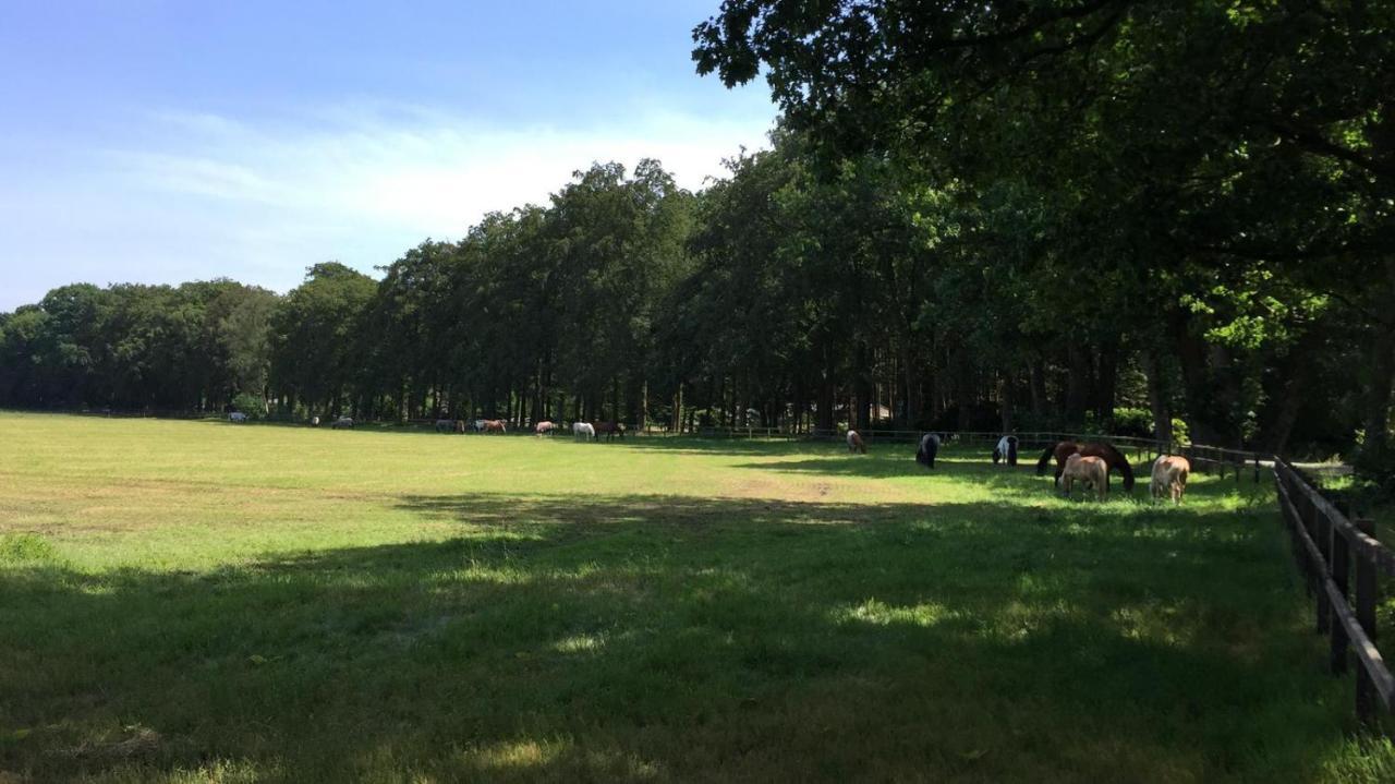 Boerderij De Enkhoeve Laag-Soeren Bagian luar foto
