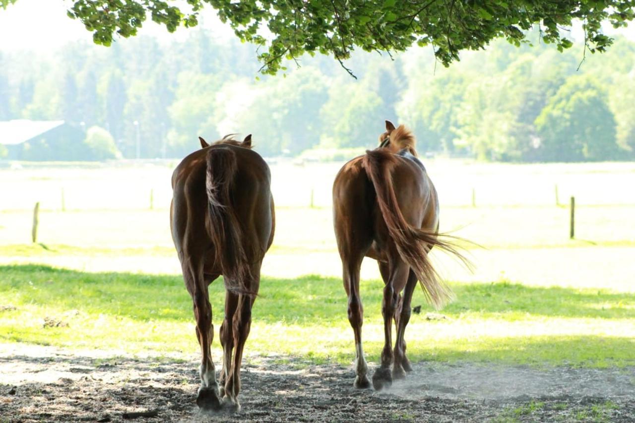 Boerderij De Enkhoeve Laag-Soeren Bagian luar foto