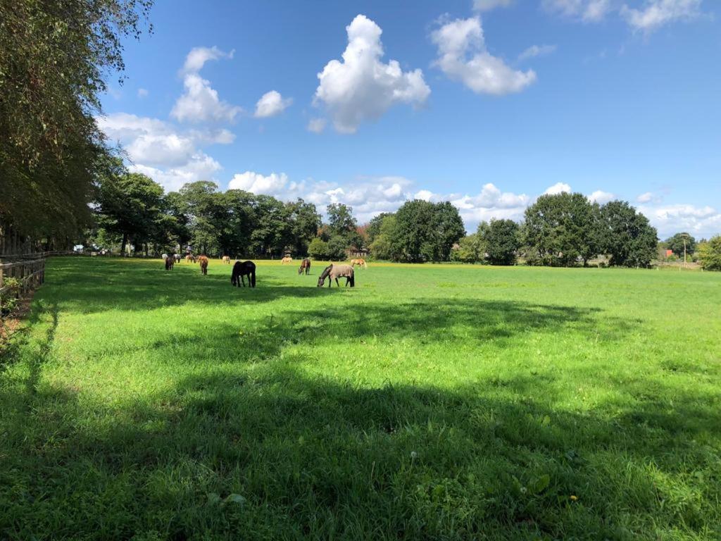 Boerderij De Enkhoeve Laag-Soeren Bagian luar foto