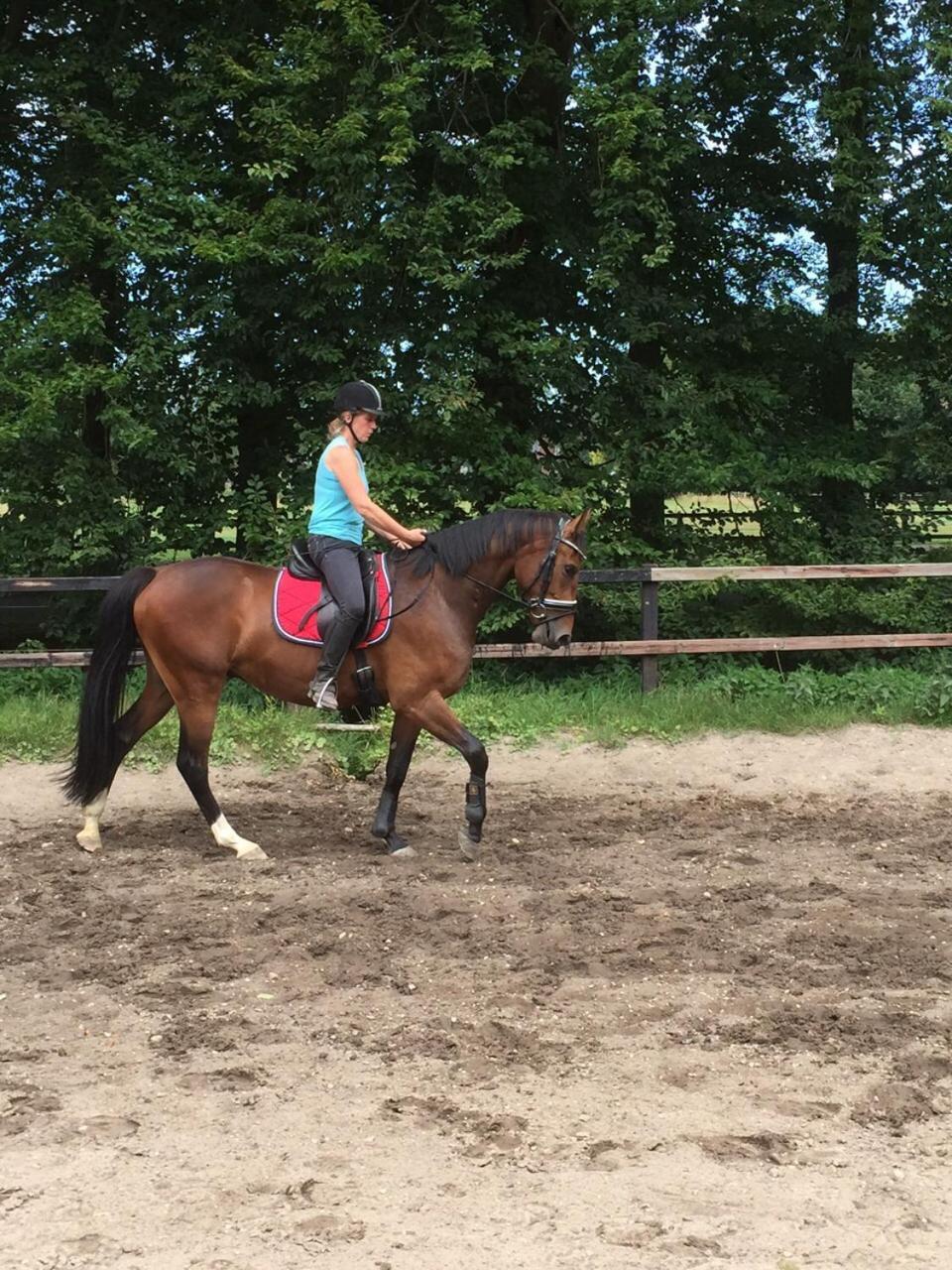 Boerderij De Enkhoeve Laag-Soeren Bagian luar foto
